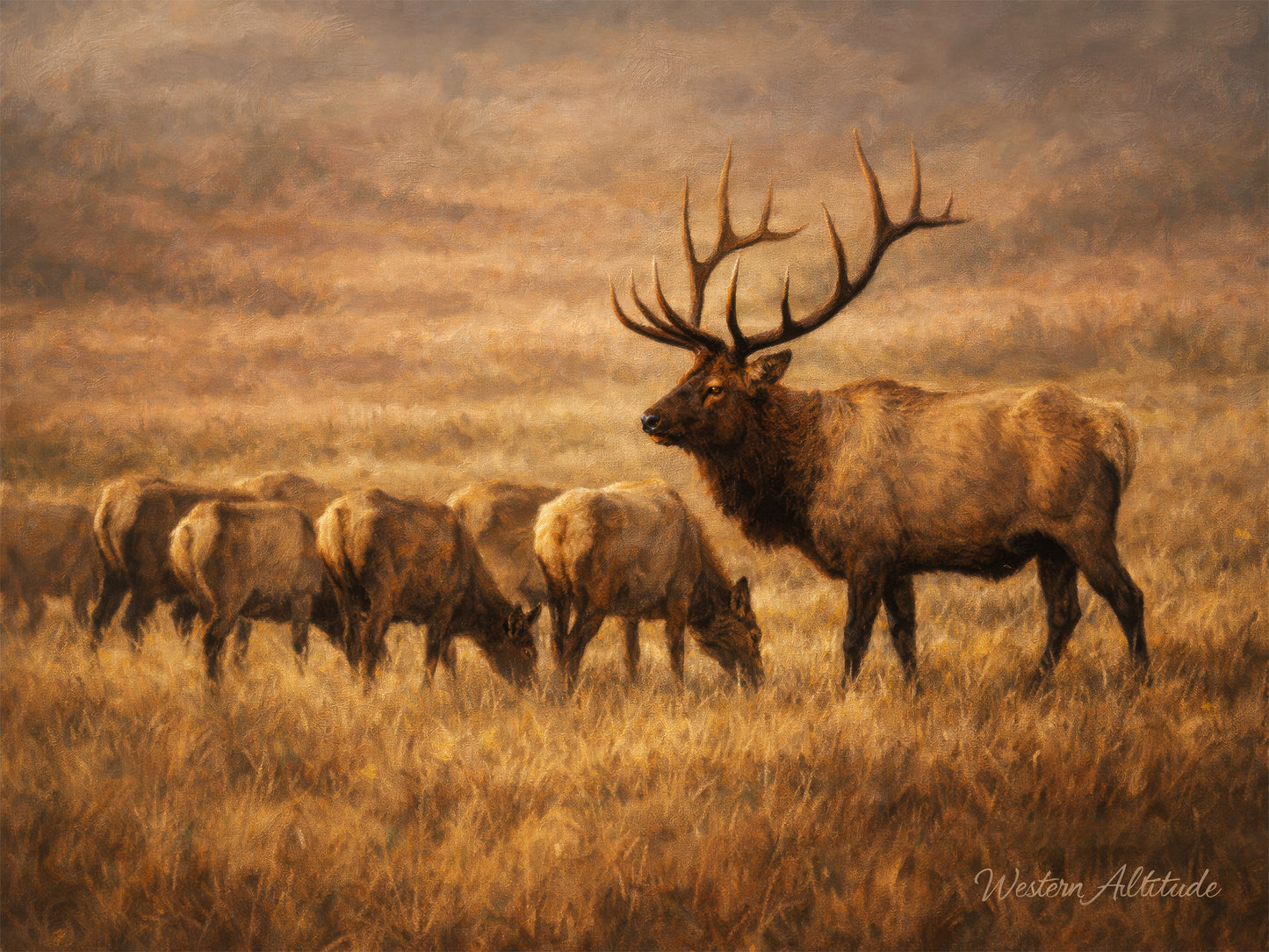 Harem Meadow