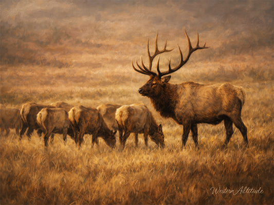 Harem Meadow