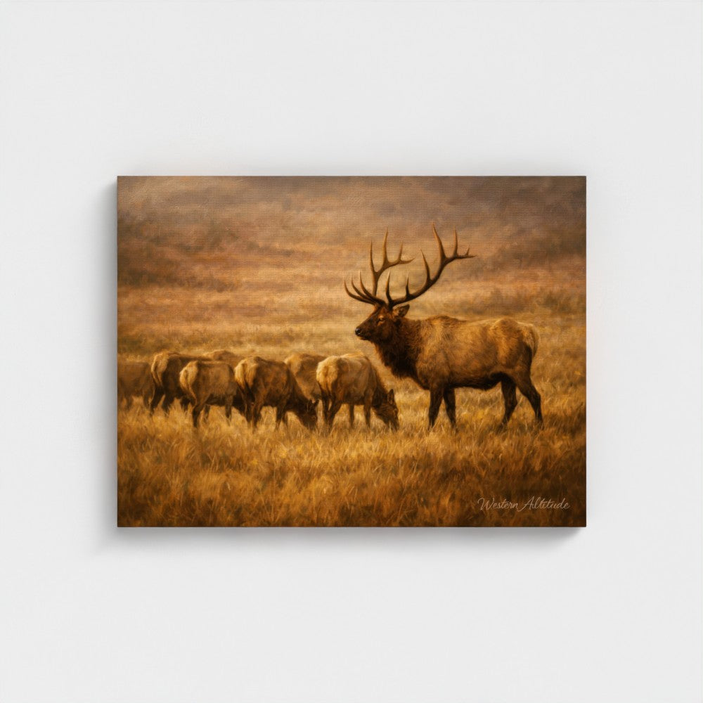 Harem Meadow